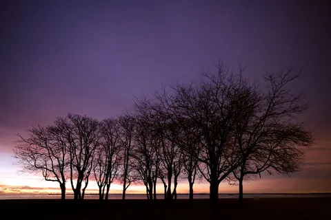 والپیپر سایه‌نمای غروب با کیفیت 4K · sunset · 3840×2561