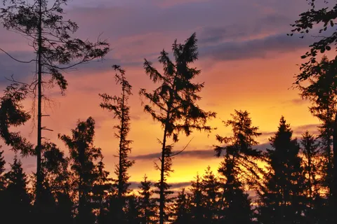 Silhouette bei Sonnenuntergang 4K Hintergrundbild · sunset · 3840×2560