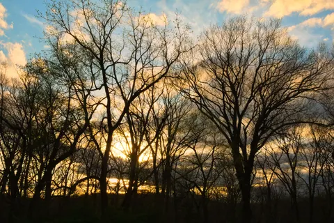 夕阳剪影 4K壁纸 · sunset · 3840×2560