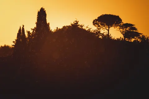 والپیپر سایه‌نمای غروب با کیفیت 4K · sunset · 3840×2560