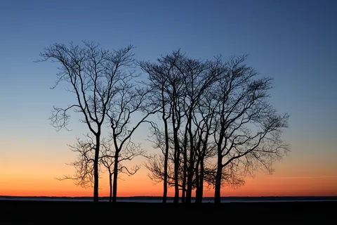 सूर्यास्त की छाया आकृति 4K वॉलपेपर · sunset · 3840×2561