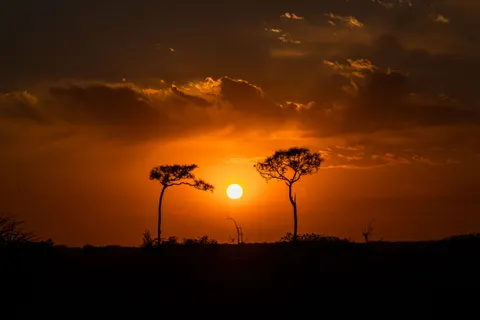 والپیپر سایه‌نمای غروب با کیفیت 4K · sunset · 3840×2560