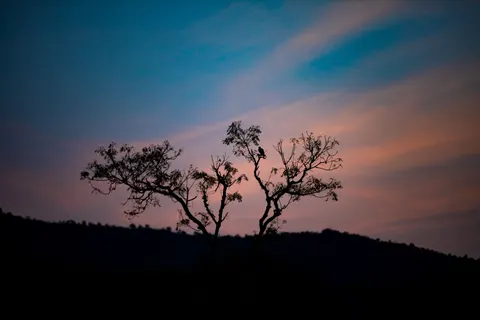 والپیپر سایه‌نمای غروب با کیفیت 4K · sunset · 3840×2560