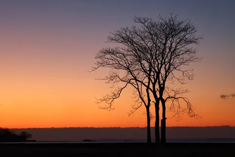والپیپر سایه‌نمای غروب با کیفیت 4K · sunset · 3840×2560