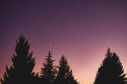 Tapeta Sylwetka o Zachodzie Słońca 4K · sunset · 3840×2560