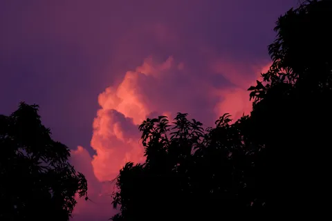 والپیپر غروب صورتی با کیفیت 4K · sunset · 3840×2560