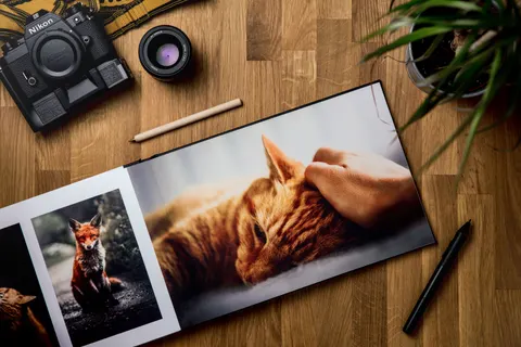 Fox 4K Wallpaper · animals · 3840×2563
