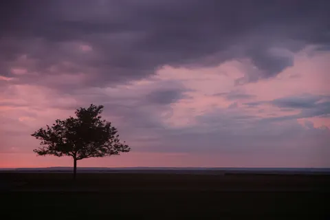 والپیپر غروب صورتی با کیفیت 4K · sunset · 3840×2561