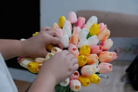 チューリップ畑 4K壁紙 · flowers · 3840×2560