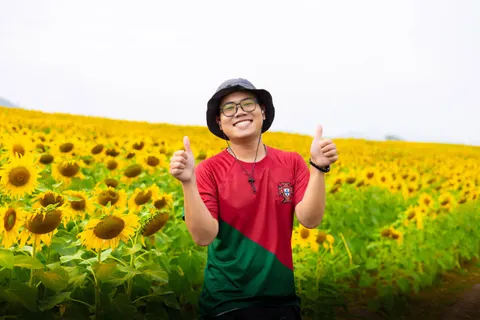 Sunflower Field 4K Wallpaper · flowers · 3840×2560