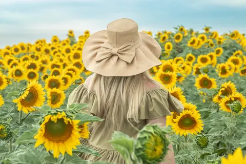 Sunflower Field 4K Wallpaper · flowers · 3840×2560