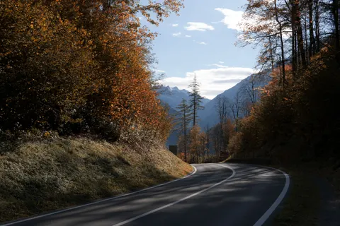 والپیپر جنگل پاییزی با کیفیت 4K · nature · 3840×2560