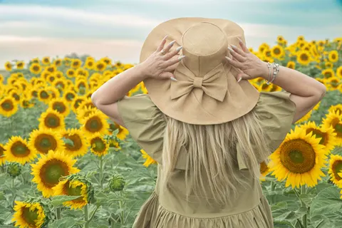 Sunflower Field 4K Wallpaper · flowers · 3840×2560