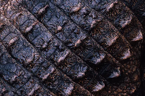 皮革 4K桌布 · textures · 3840×2560