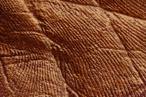 Обои Кожа 4K · textures · 3840×2560