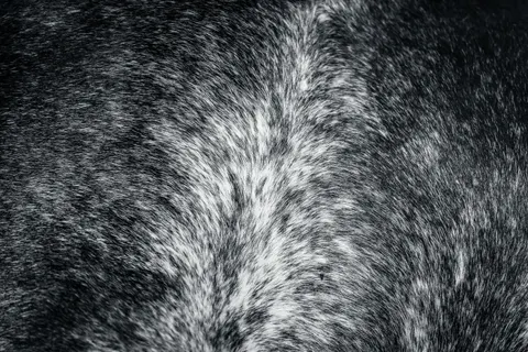 Обои Кожа 4K · textures · 3840×2560