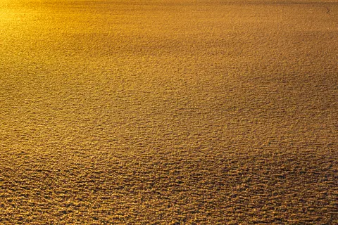 Gold Foil 4K Wallpaper · textures · 3840×2560