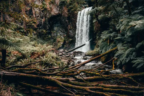 जंगल का झरना 4K वॉलपेपर · waterfall · 3840×2560