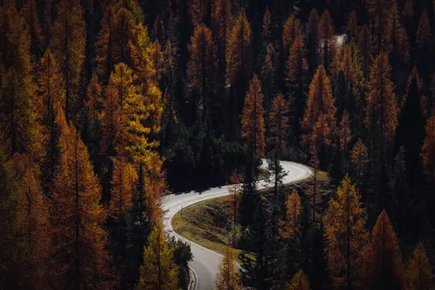 Sfondo Foresta Autunnale 4K · nature · 3840×2560