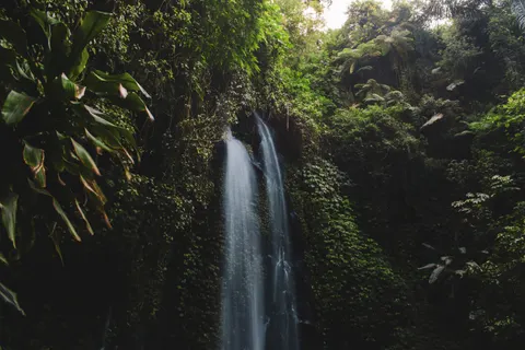 Jungle Waterfall 4K Wallpaper · waterfall · 3840×2560