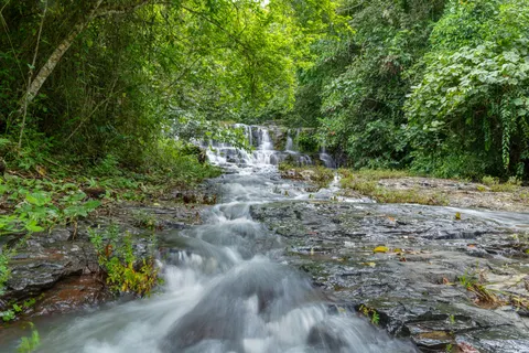Fond d'écran Cascade en pleine jungle 4K · waterfall · 3840×2560
