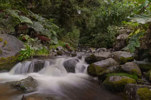 Jungle Waterfall 4K Wallpaper · waterfall · 3840×2560