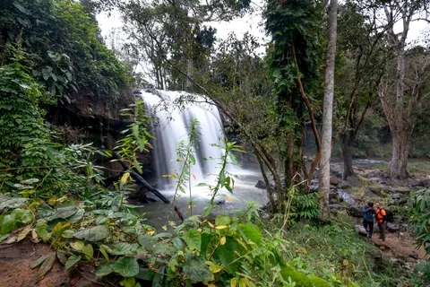 Jungle Waterfall 4K Wallpaper · waterfall · 3840×2560