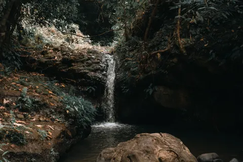 정글 폭포 4K 배경화면 · waterfall · 3840×2560