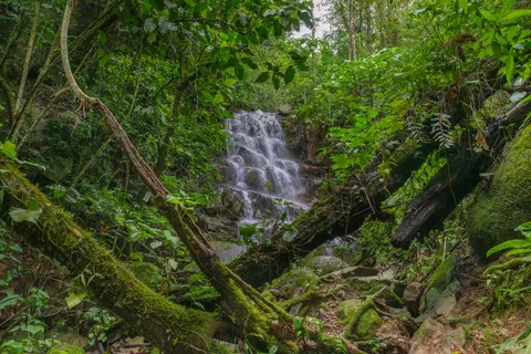 जंगल का झरना 4K वॉलपेपर · waterfall · 3840×2560