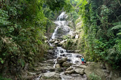 Jungle Waterfall 4K Wallpaper · waterfall · 3840×2561
