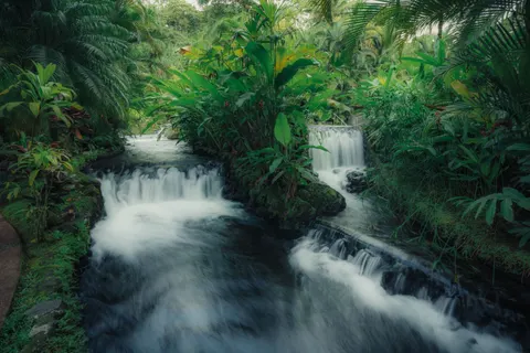 जंगल का झरना 4K वॉलपेपर · waterfall · 3840×2560