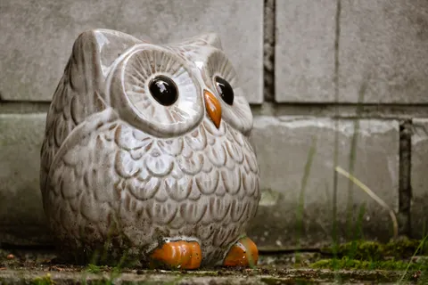 フクロウ 4K壁紙 · animals · 3840×2560