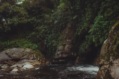 जंगल का झरना 4K वॉलपेपर · waterfall · 3840×2560