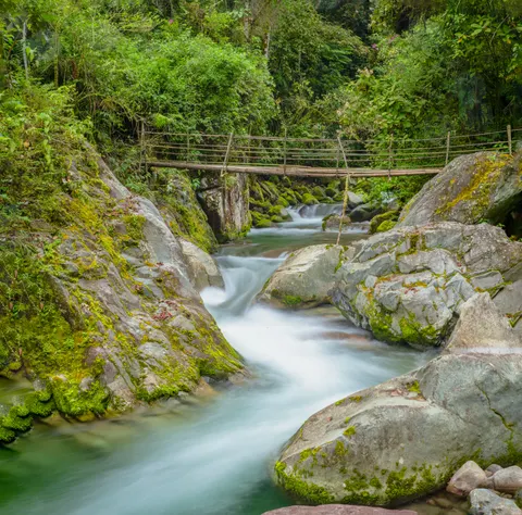 Fond d'écran Cascade en pleine jungle 4K · waterfall · 3840×3794