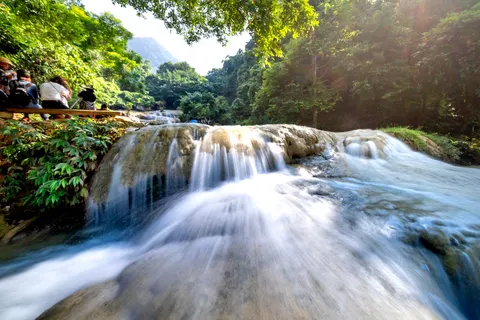 जंगल का झरना 4K वॉलपेपर · waterfall · 3840×2561