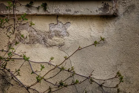 Sfondo Vernice Screpolata 4K · textures · 3840×2560