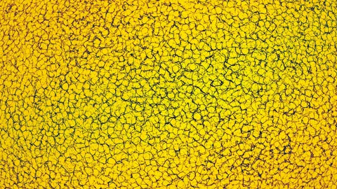 龜裂漆面 4K桌布 · textures · 3840×2160