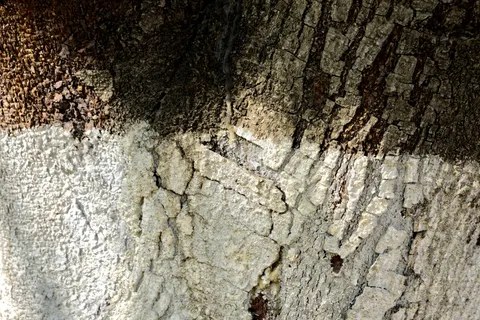 Fond d'écran Peinture craquelee 4K · textures · 3840×2563