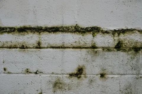 والپیپر رنگ ترک‌خورده با کیفیت 4K · textures · 3840×2560