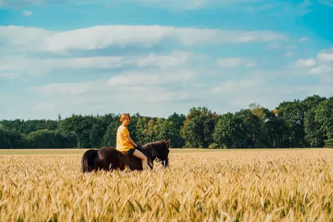 Fondo de pantalla Caballo 4K · animals · 3840×2561