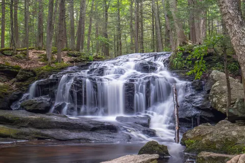 Sfondo Cascata nella Foresta 4K · waterfall · 3840×2571