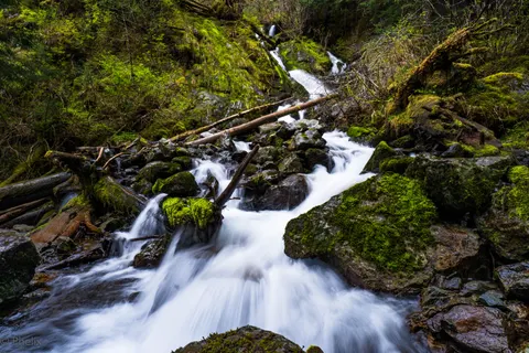 Forest Waterfall 4K Wallpaper · waterfall · 3840×2560