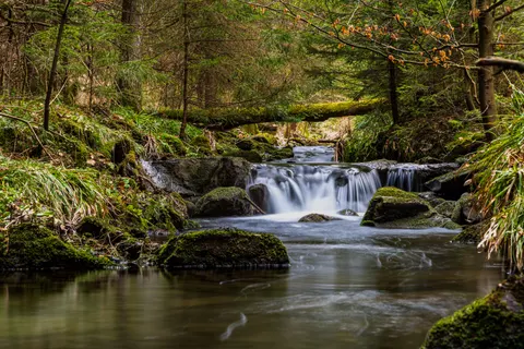 Forest Waterfall 4K Wallpaper · waterfall · 3840×2560