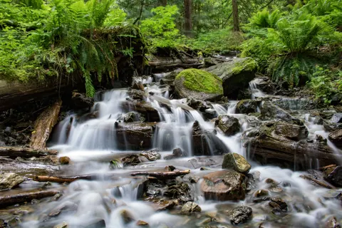 Forest Waterfall 4K Wallpaper · waterfall · 3840×2560