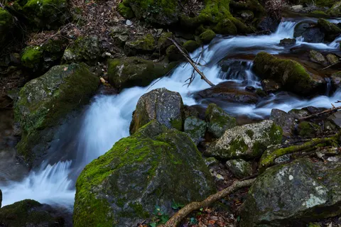 Forest Waterfall 4K Wallpaper · waterfall · 3840×2561