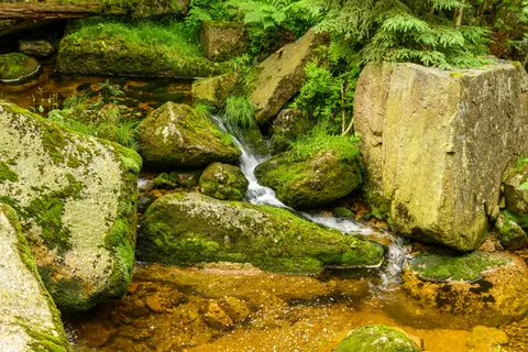 Forest Waterfall 4K Wallpaper · waterfall · 3840×2560