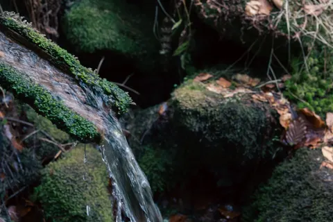 Forest Waterfall 4K Wallpaper · waterfall · 3840×2560