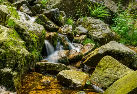 Orman Şelalesi 4K Duvar Kağıdı · waterfall · 3840×2642