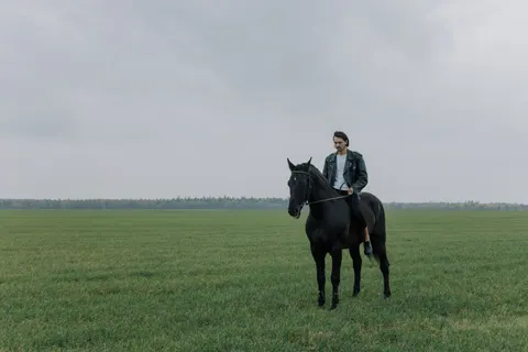 Horse 4K Wallpaper · animals · 3840×2560