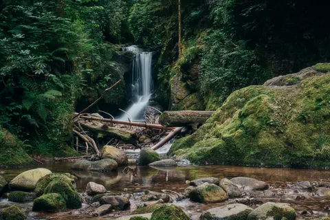 Tapeta Wodospad w Lesie 4K · waterfall · 3840×2560